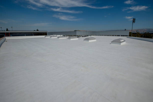 Best Roof Maintenance and Cleaning  in Brier, WA